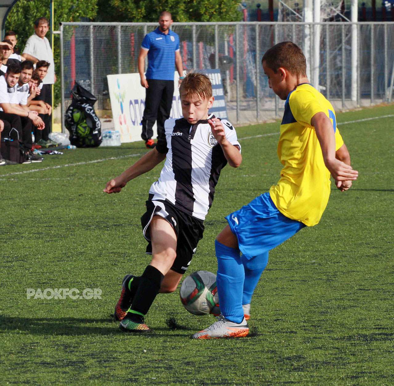 11049 copy.jpg